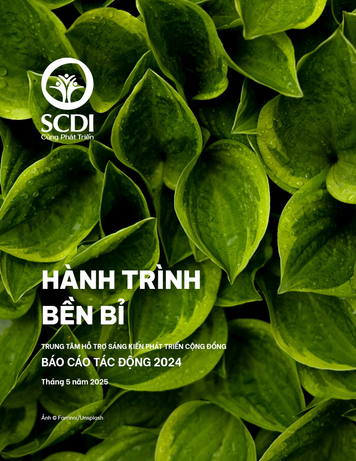 SCDI Báo cáo tác động - 2024