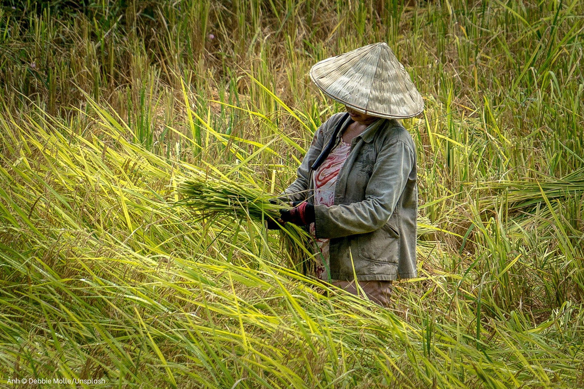 “Sống chung với lũ” và lát cắt di cư