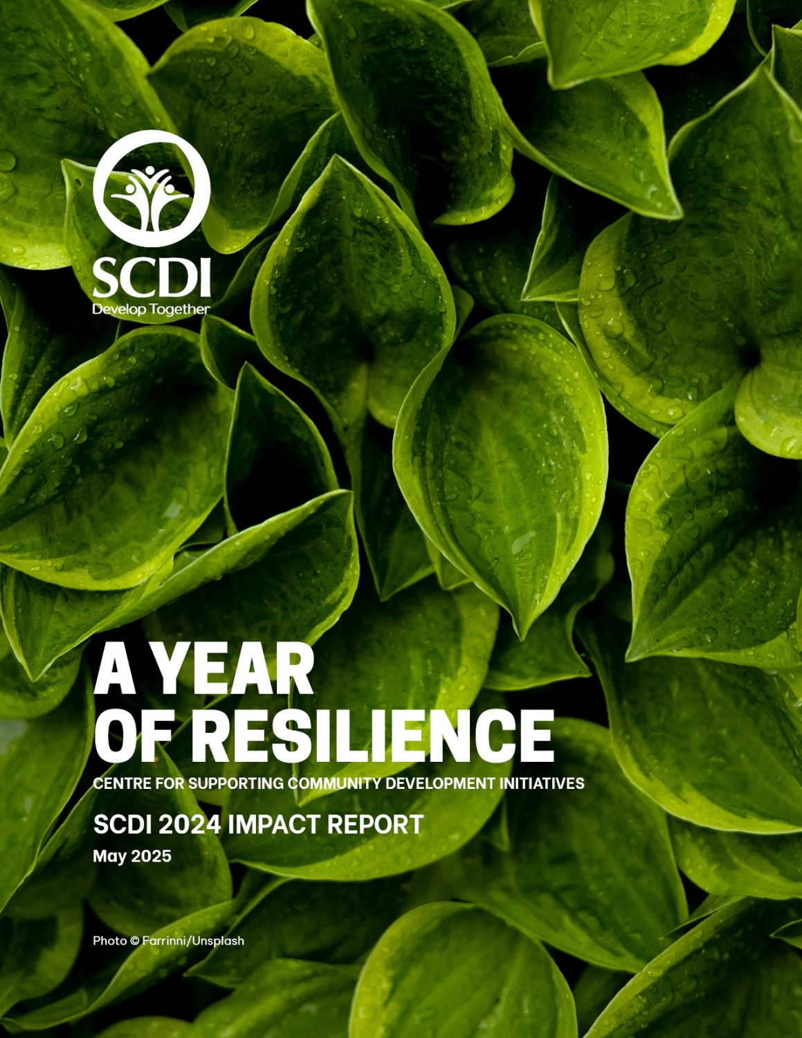 SCDI Impact Report - 2024